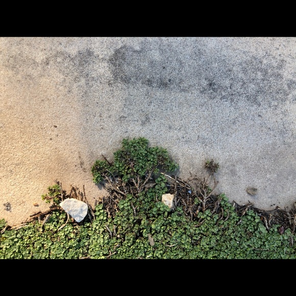 Meet your Posher, Rochelle - Picture 13 of 16